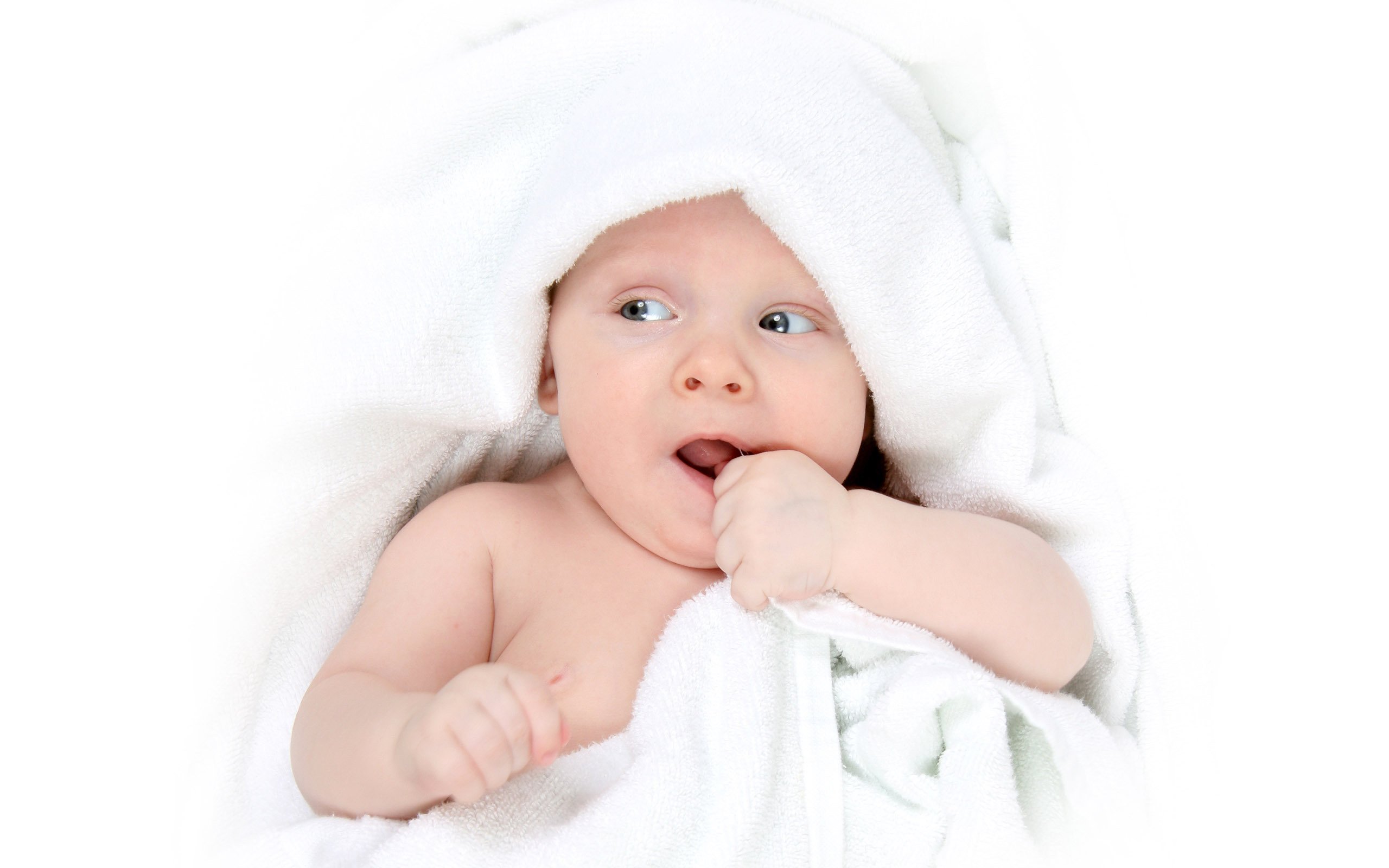 无锡借卵公司2016年试管婴儿成功率